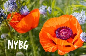 Screenshot 2025-09-30 181534.jpg