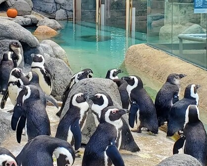 Screenshot 2026-01-28 090026.jpg