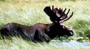 Screenshot 2026-02-11 144238.jpg