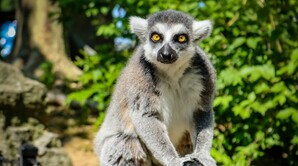 Screenshot 2026-01-28 084926.jpg