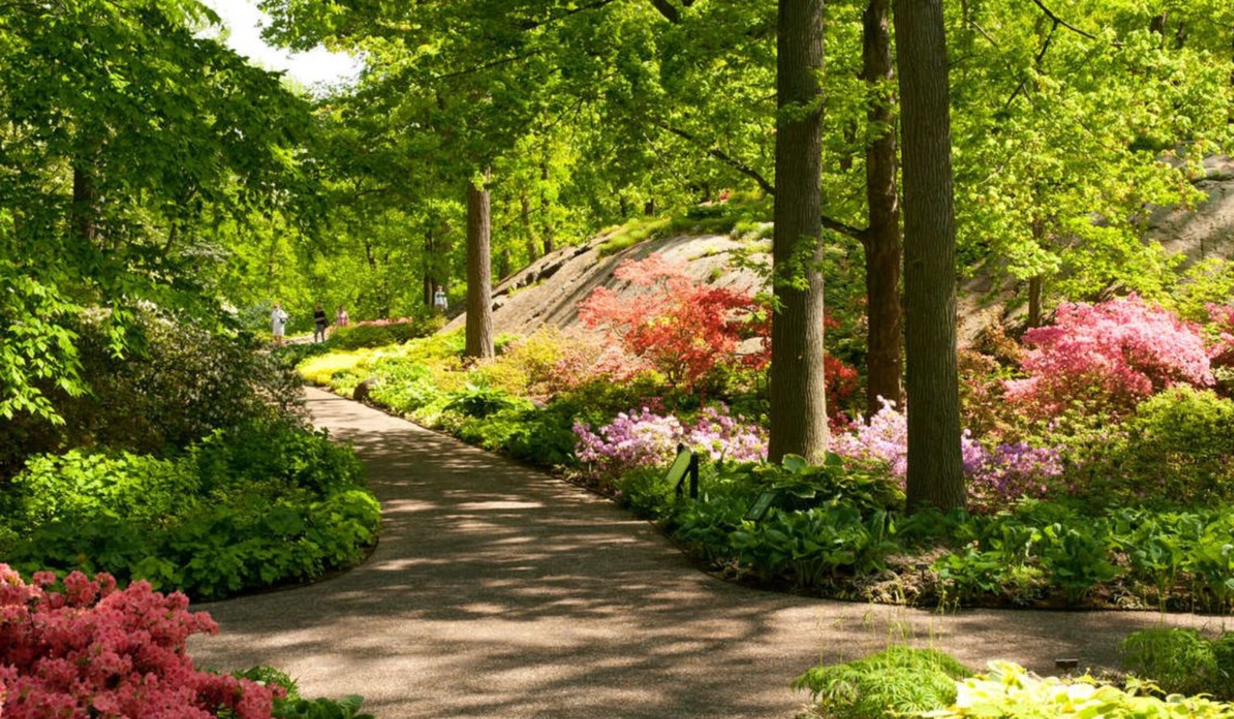 Screenshot 2025-09-30 145448.jpg